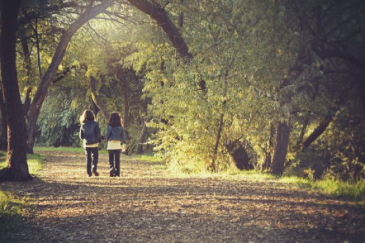 herfstvakantie noord midden zuid uitjes