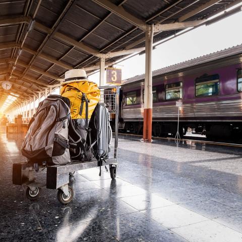 Bepakking op het treinstation