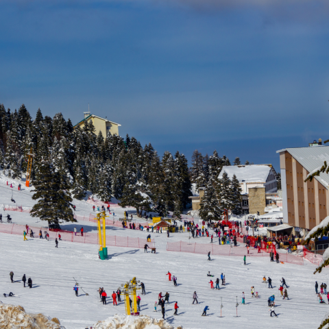 Drukke piste op wintersport