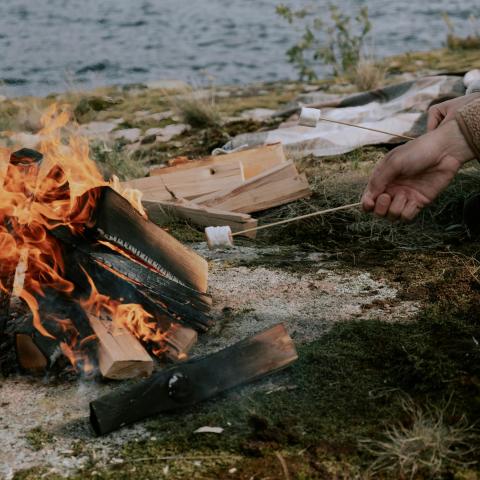 kampvuur en brandveiligheid